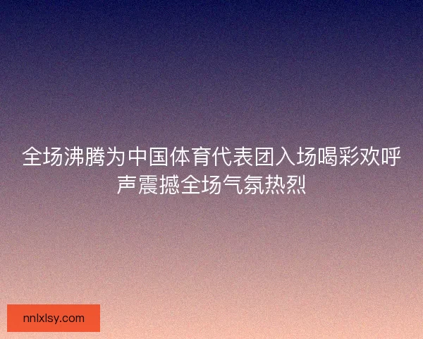全场沸腾为中国体育代表团入场喝彩欢呼声震撼全场气氛热烈