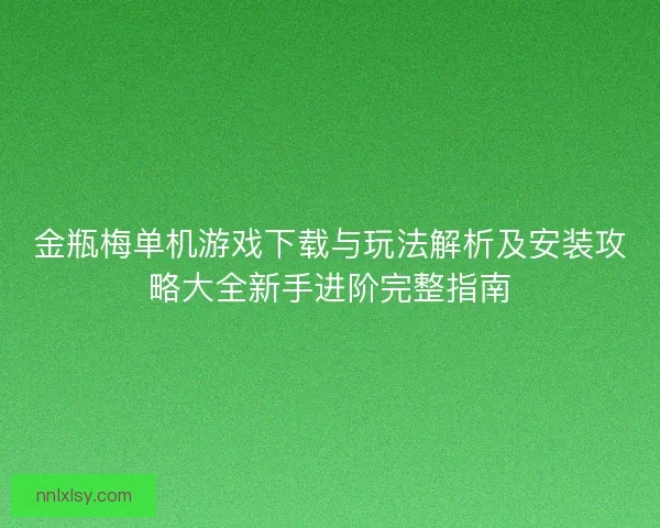 金瓶梅单机游戏下载与玩法解析及安装攻略大全新手进阶完整指南