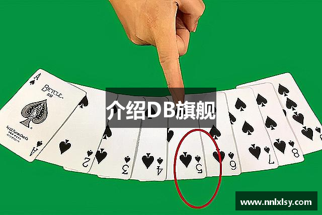介绍DB旗舰
